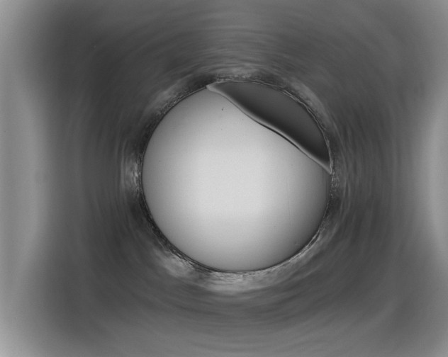 X0000115520045200911061032