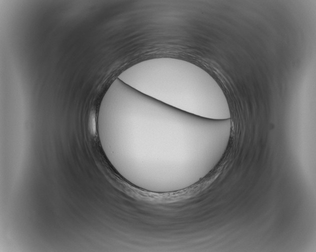 X0000115520046200911061032
