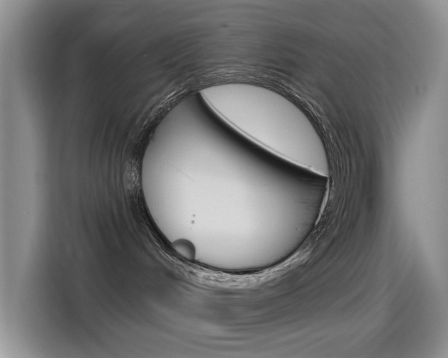 X0000115520048200911061032