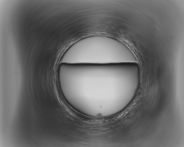 X0000115520049200911061031