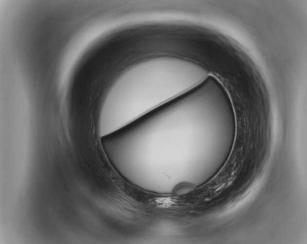 X0000115520050200911061031