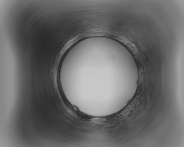 X0000115520051200911061031