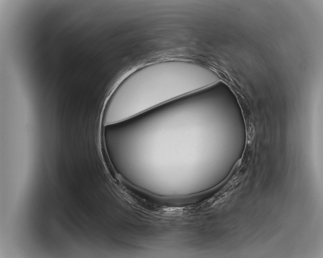 X0000115520052200911061031