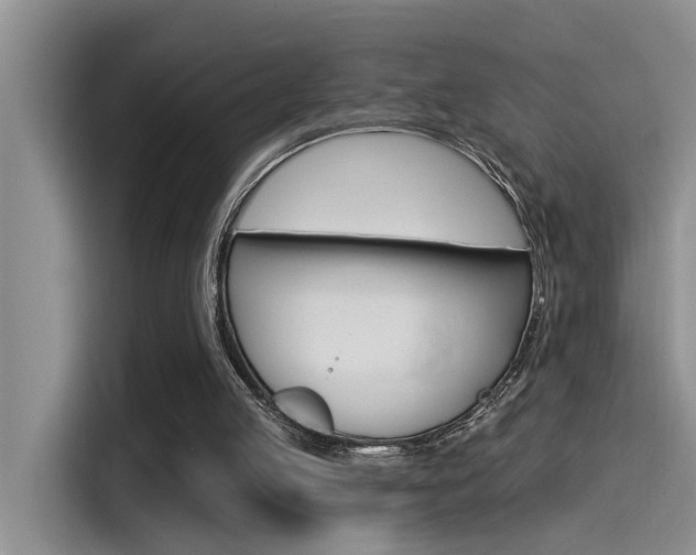 X0000115520053200911061031