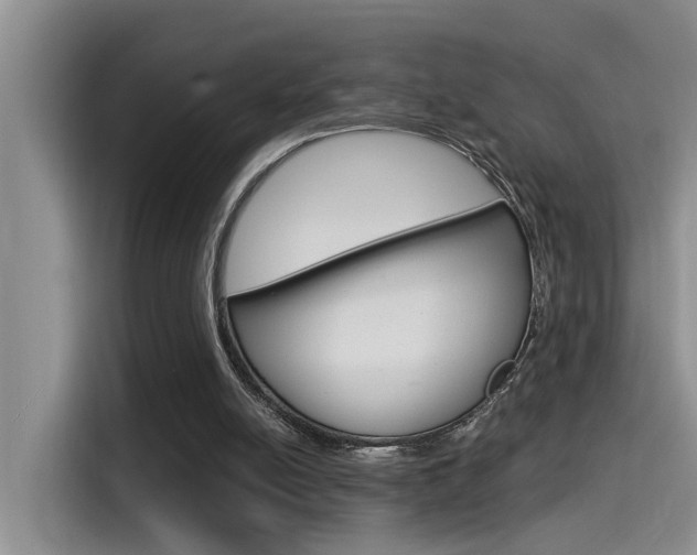 X0000115520054200911061031