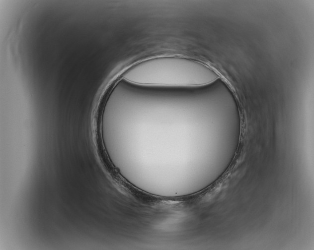 X0000115520055200911061031