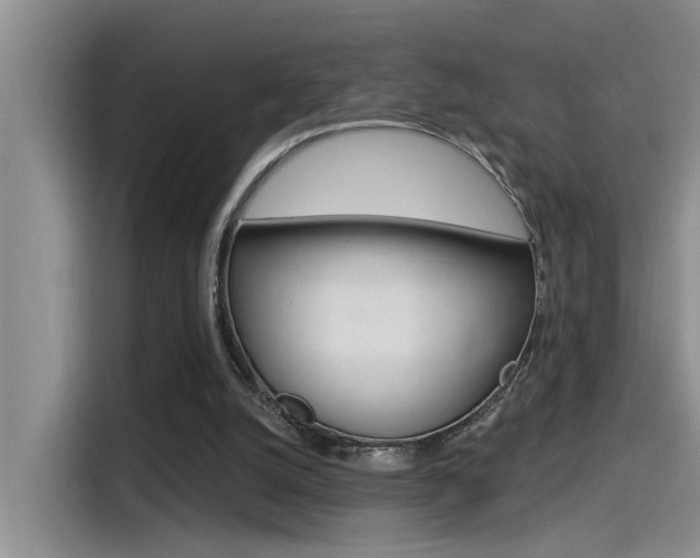 X0000115520056200911061031