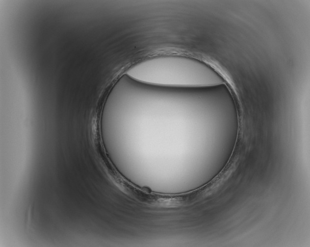 X0000115520057200911061031