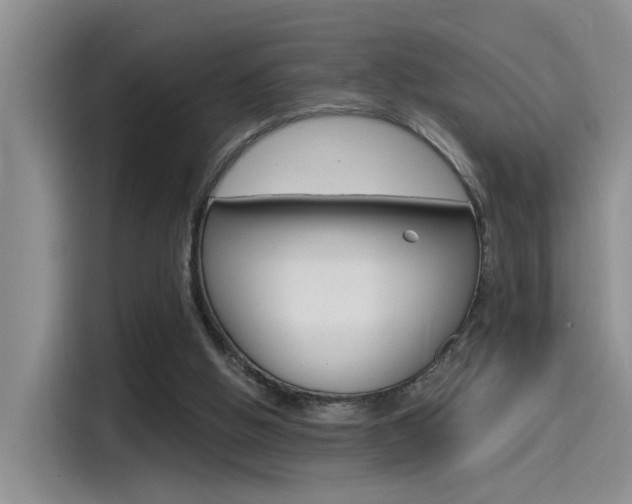 X0000115520058200911061031