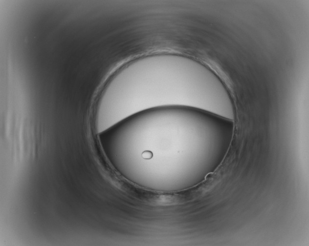 X0000115520060200911061031