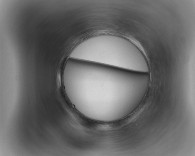 X0000115520061200911061031