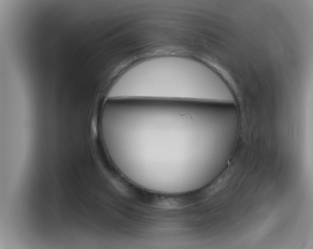 X0000115520062200911061031