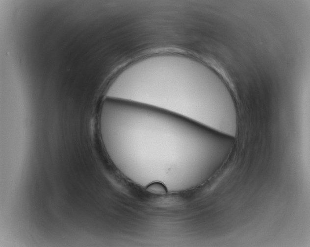 X0000115520063200911061031