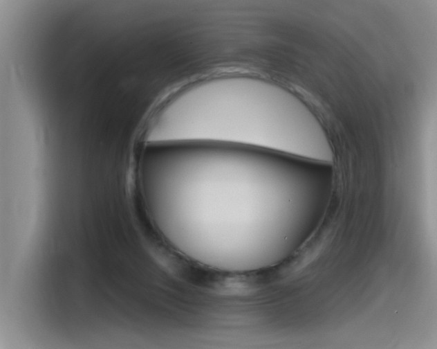 X0000115520064200911061031