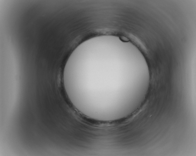 X0000115520065200911061031