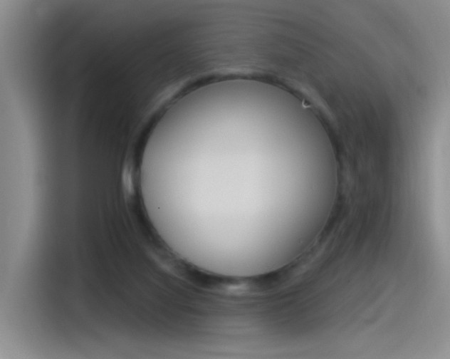 X0000115520068200911061031