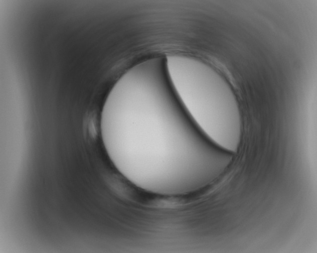 X0000115520069200911061031