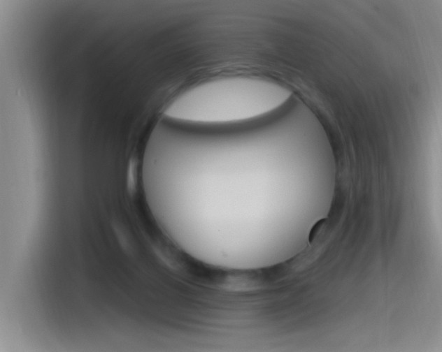 X0000115520070200911061031