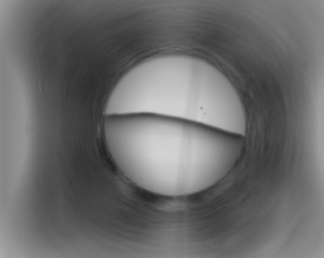 X0000115520075200911061032