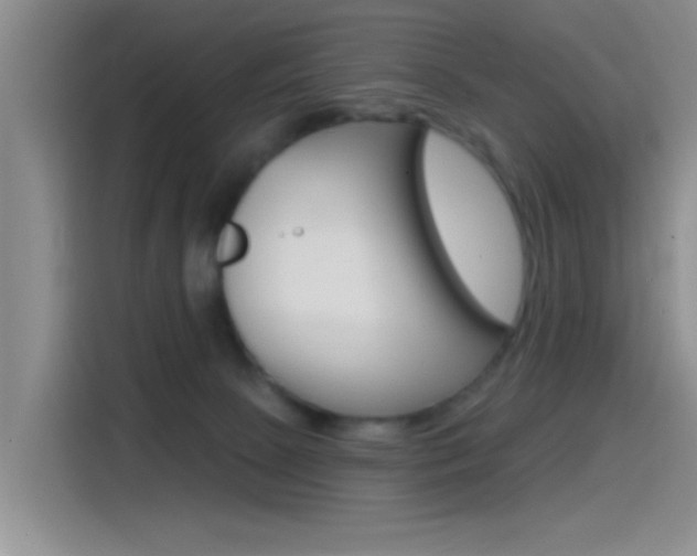 X0000115520081200911061032