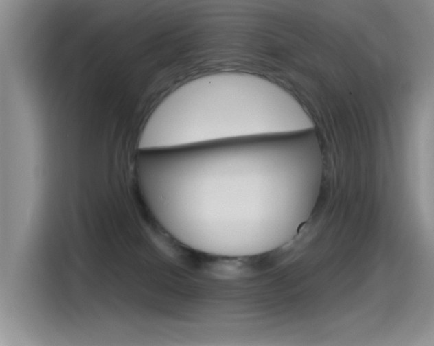 X0000115520086200911061032