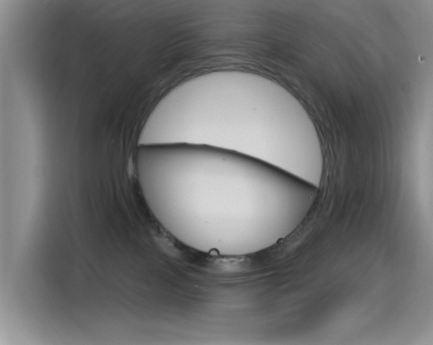 X0000115520089200911061032