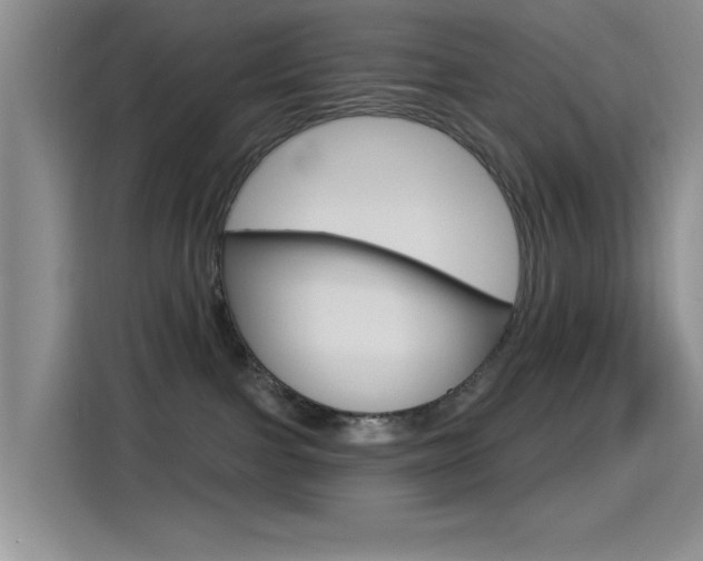 X0000115520091200911061032
