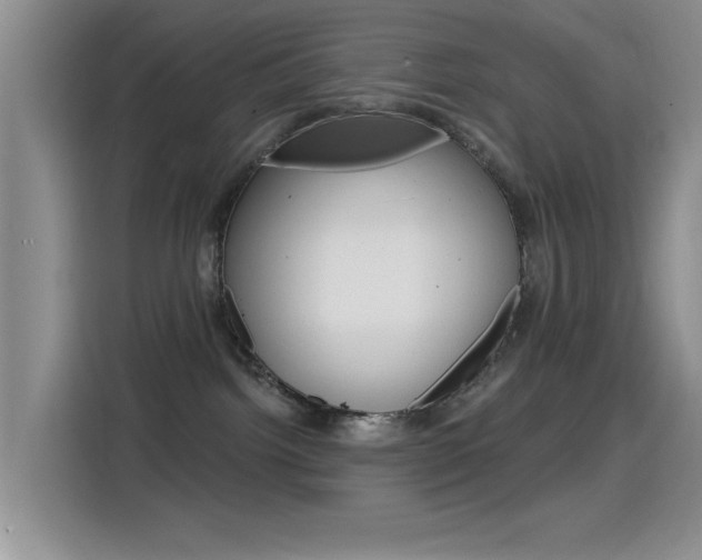 X0000115520092200911061032