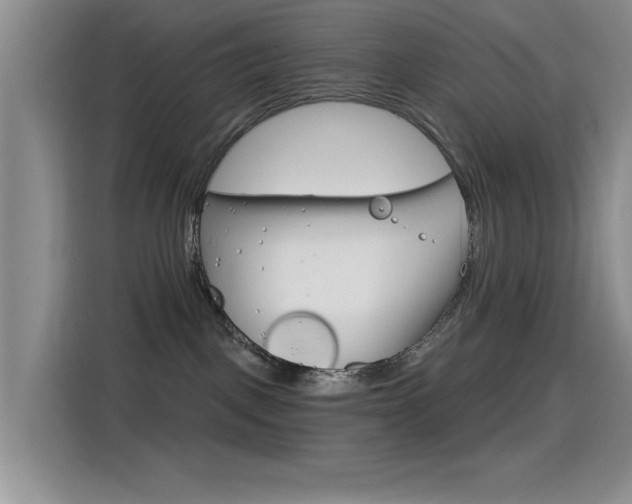 X0000115520093200911061032