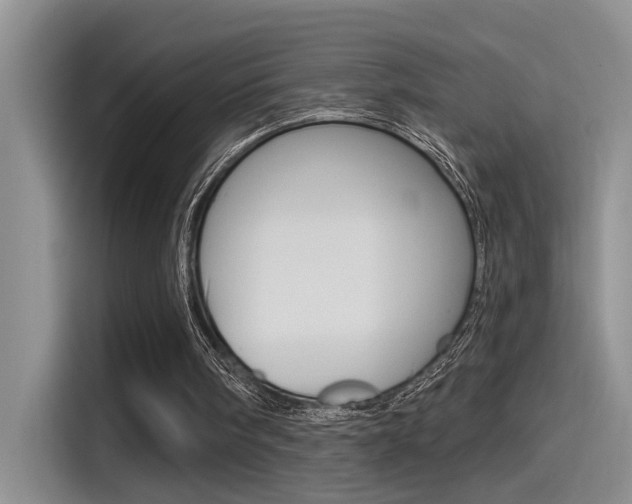 X0000115520098200911061031