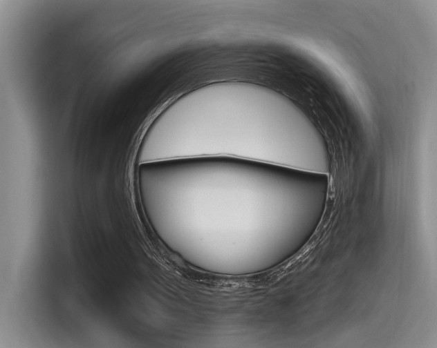 X0000115520099200911061031