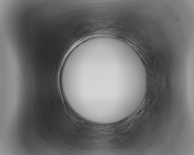 X0000115520100200911061031