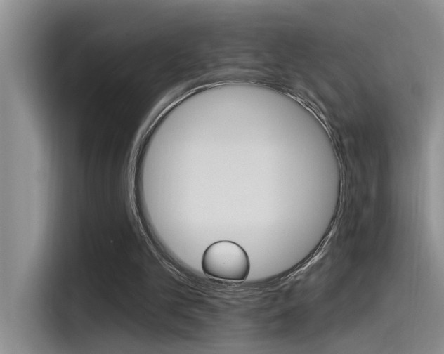 X0000115520101200911061031