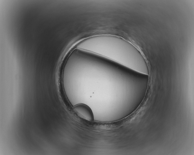X0000115520103200911061031