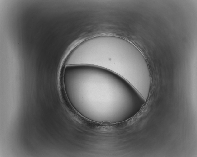 X0000115520104200911061031