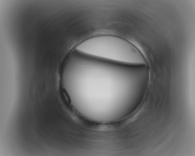 X0000115520109200911061031
