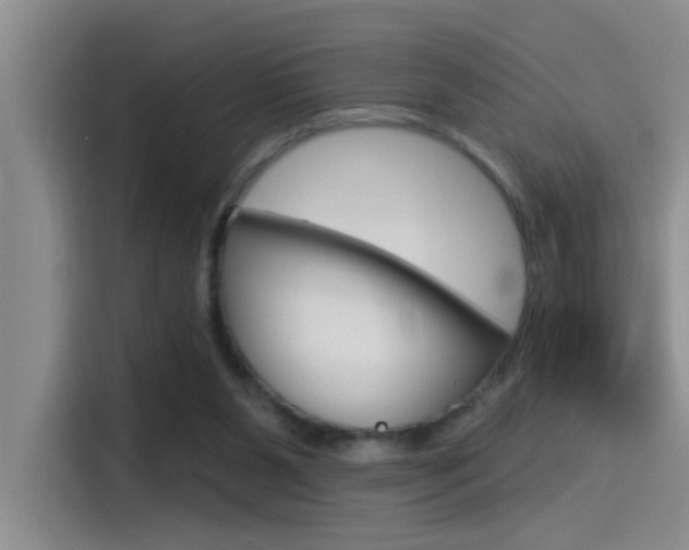 X0000115520111200911061031