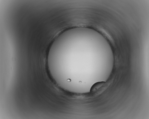 X0000115520113200911061031