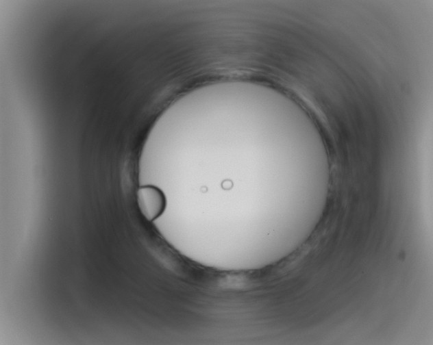 X0000115520114200911061031