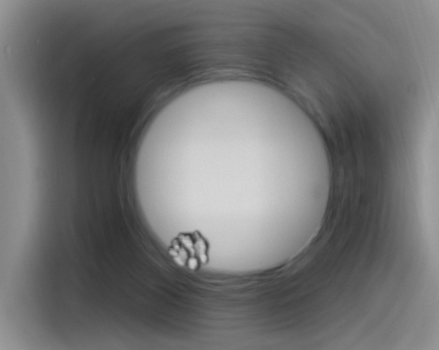X0000115520116200911061031