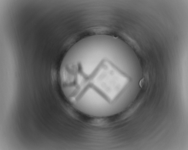 X0000115520117200911061031