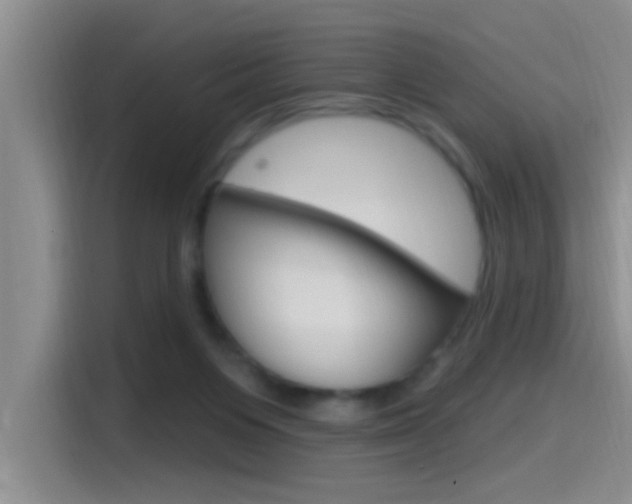 X0000115520119200911061031