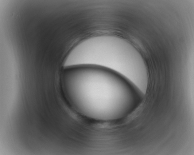 X0000115520120200911061031