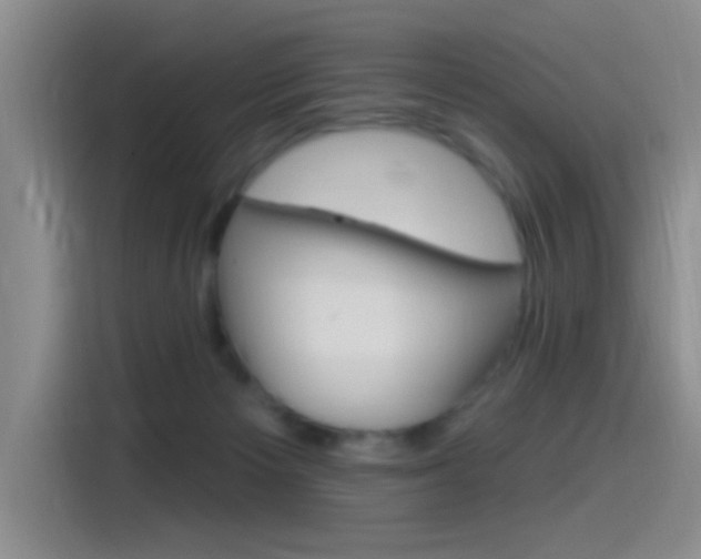 X0000115520125200911061031