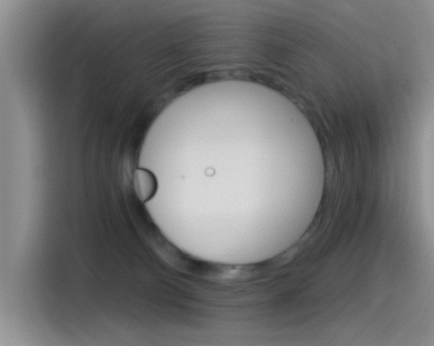 X0000115520130200911061031