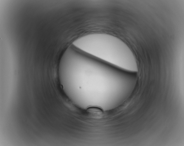 X0000115520131200911061031