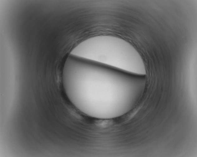 X0000115520135200911061031