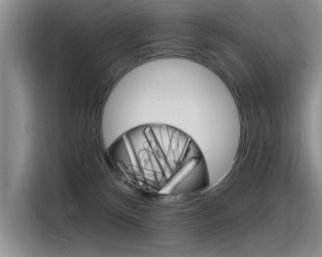 X0000115520136200911061031