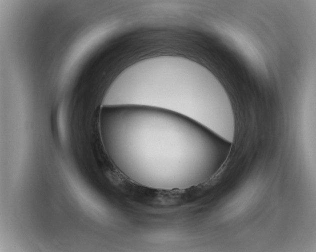 X0000115520140200911061031