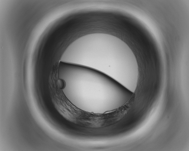 X0000115520143200911061031